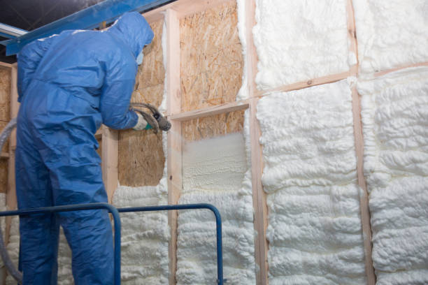 Goodlettsville, TN Insulation Removal & Installation Company